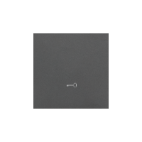 Klawisz pojedynczy z piktogramem „klucz” do łączników/przycisków, Grafitowy mat Simon 55 | TKWK1/116 Kontakt Simon