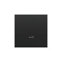 Klawisz pojedynczy z piktogramem „klucz” do łączników/przycisków, Czarny mat Simon 55 | TKWK1/149 Kontakt Simon