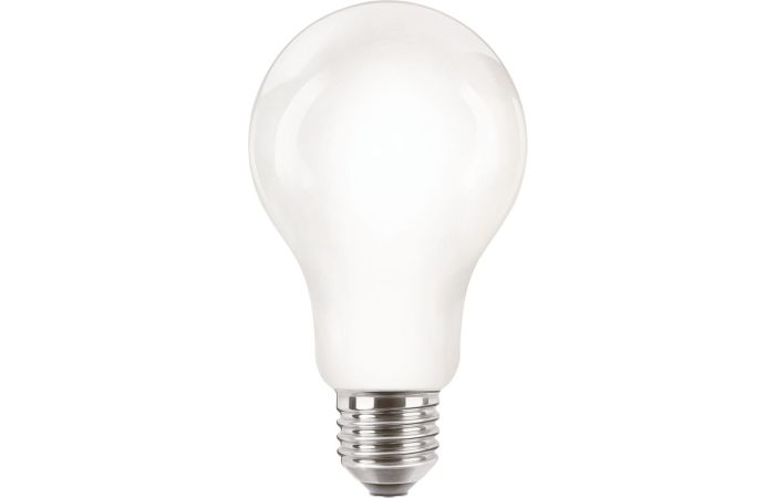 Lampa LED  classic 120W 2000lm A67 E27 WW 2700K FR NDRFSRT4  matowa | 929002371801 Philips