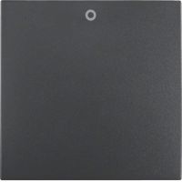 Klawisz z nadrukiem "0", do łącznika 2- i 3-biegunowego, antracyt, mat, B.x | 16221606 Hager