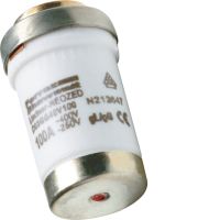 Wkładka bezpiecznikowa D03/M30x2 wykonanie zwłoczne gG 100A 400VAC/250VDC | LM30100 Hager