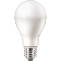 Lampa LED PILA 120W 1900lm A67 E27 WW 2700K FR ND 1CT/6 matowa | 929002062231 Philips