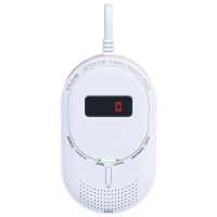 Czujnik tlenku węgla i gazu CTLG-08 | CTLG-08 F&F