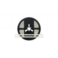 Taśma LED 2835 300/5m 24W/5m 115lm/W 6000 K 12V IP20 Biała Zimna rolka 5m Ra 80 | 16-1072-01 LED Labs