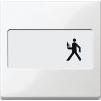 Klawisz pojedynczy z polem opisowym biały polarny, System M, Merten | MTN432319 Schneider Electric