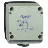 Czujnik indukcyjny XSD 80x80x40 plastikowy Sn 60mm 12-48VDC zaciski | XSDH607339 Telemecanique Sensors