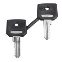 Klucze 458A, zestaw 2 szt Harmony XB4 | ZBG458A Schneider Electric