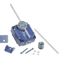Łącznik krańcowy OsiSense XC XCR, standard US, 240VAC, 10A | XCRE18H2 TMSS France