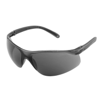 Okulary ochronne SAMP 520-G, przyciemniane | 06161 Avacore