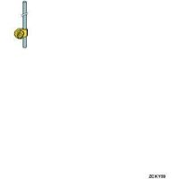 Ramię łącznika krańcowego ZCKY dźwignia z prętem termoplastycznym 6mm dł=200mm -40-70 st.C | ZCKY59 Schneider Electric