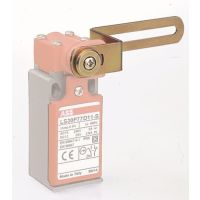 Wyłącznik krańcowy LS31P77L02-S | 1SBV030177R1302 ABB