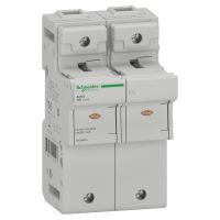 Podstawa bezpiecznikowa SBI-125-2 125A | A9GSB292 Schneider Electric