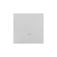 Klawisz pojedynczy z piktogramem „klucz” do łączników/przycisków, Aluminium mat Simon 55 | TKWK1/143 Kontakt Simon