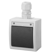 Łącznik natynkowy zwierny światło IP 65, szary 7035/7016, AQUANT 2K | 5004-65 Elektro-Plast Nasielsk