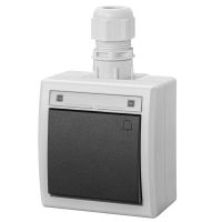 Łącznik natynkowy zwierny dzwonek IP65 szary 7035/7016, AQUANT 2K | 5005-65 Elektro-Plast Nasielsk