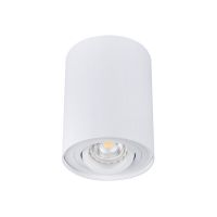 Oprawa sufitowa punktowa Bord DLP-50-W GU10 IP20 biała | 22551 Kanlux