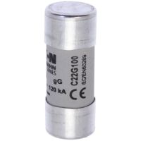 Wkładka bezpiecznikowa cylindryczna gG 22x58mm 100A, 500VAC (zwłoczna) | C22G100 Eaton