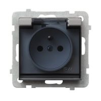 Gniazdo pojedyncze z/u 16A, IP44, klapka dymna, srebro mat, Sonata | GPH-1RZP/m/38/d Ospel