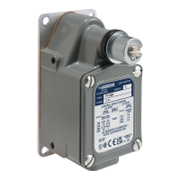 Łącznik krańcowy 9007 | 9007FTSB1M11 Telemecanique Sensors