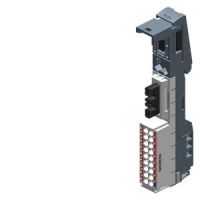 PotDis-BU type P1,light-colored, PU 1 | 6ES7193-6UP00-0DP1 Siemens