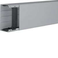 Kanał elektroinstalacyjny PVC 60x110mm, szary, Tehalit.LF | LF6011007030 Hager