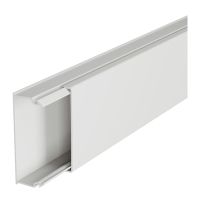Listwa kablowa LNECO 50x20, bez przegrody, długość 2m | 638160 Legrand