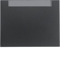 Klawisz z polem opisowym do łącznika 1-klawiszowego, antracyt mat, lakierowany, K.1 | 14267006 Hager