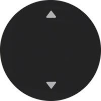 Klawisz z nadrukiem symbolu "strzałki" czarny, połysk, R.1/R.3 | 16202005 Hager