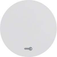 Klawisz z nadrukiem symbolu "klucz" do łącznika klawiszowego pojedynczego, biały, połysk, R.1/R.3 | 16202059 Hager