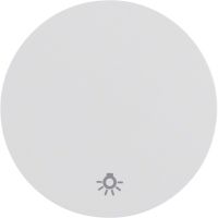 Klawisz z nadrukiem symbolu "światło" do łącznika klawiszowego pojedynczego, biały, połysk, R.1/R.3 | 16202079 Hager