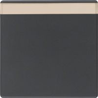 Klawisz z polem opisowym do łącznika 1-klawiszowego, antracyt, aksamit, Q.x | 16266086 Hager