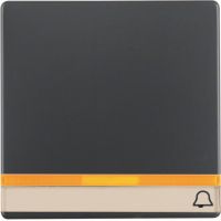 Klawisz z 2 dołączonymi soczewkami, polem opisowym i nadrukiem symbolu "dzwonek", antracyt, aksamit | 16286076 Hager