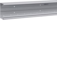 Kanał PVC podstawa 65x100, jasnoszary, Tehalit.BRP | BRP6510017035 Hager