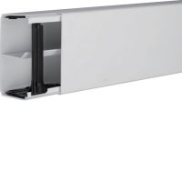 Kanał elektroinstalacyjny PVC 60x110mm z przegrodą, jasnoszary, Tehalit.LF | LF6011107035 Hager