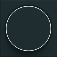 Płytka czołowa do ściemniacza obrotowego, czarny, Lumina | WXD062C Hager