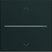 Płytka czołowa do sterownika rolet z komunikacją Bluetooth, czarny, Lumina | WXD080C Hager