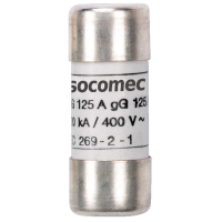 Wkładka topikowa 22x58 gG 80A (zwłoczna) | 60320080 Socomec