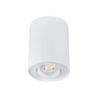 Oprawa sufitowa punktowa BORD DLP-50-W mat 1XGU10 | 22551 Kanlux
