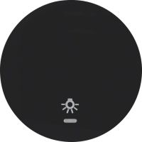 Klawisz z soczewką nadr. symbolu "światło" do łącz. klaw. 1-kr, czarny, R.x | WLW1332BG Hager