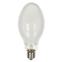 Lampa rtęciowo-żarowa MIXF 160W E27 107306 | 14165141 Ushio