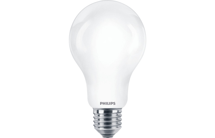 Lampa LED  classic 150W 2452lm A67 E27 CDL 6500K FR ND 1SRT4  matowa | 929002372801 Philips