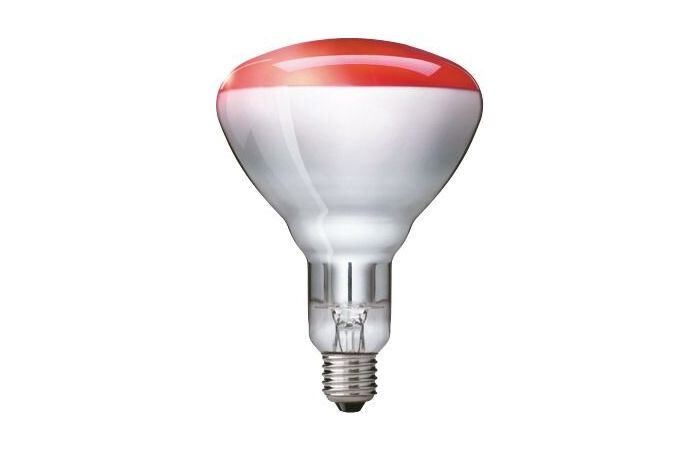 Lampa podczerwieni IR BR125 IR 250W E27 230-250V Red 1CT/10 | 923212043801 Philips