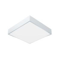 Oprawa plafon GAMMA Q LED BASIC 300 1500lm 840 IP54 II kl. RCR OPAL (14W) 300mm (H) | 669125/H Lena Lighting