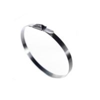 Opaska ze stali nierdzewnej 304 BB-1128 201x4,6 (opak 100szt) | BB-1128 Trytyt