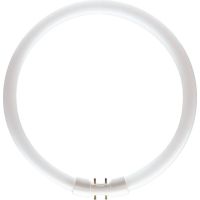 Świetlówka kołowa MASTER TL5 Circular 55W/840 2GX13 | 927965784013 Philips