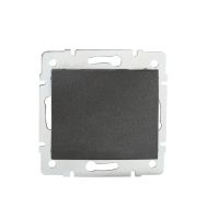 Łącznik jednobiegunowy LOGI 02-1000-141, grafit | 25243 Kanlux