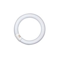 Świetlówka liniowa LUMILUX T9 C 32 W/865 G10Q | 4008321581167 Ledvance