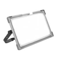 Naświetlacz MAGNUM FUTURE 50W I kl. ochr. z gniazdami PL-FR wyłącznik | 247460 Lena Lighting