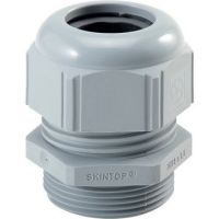 Dławik PG11 SKINTOP ST IP68 j.szary poli | 53018020 Lapp Kabel