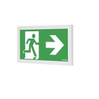 Oprawa awaryjna INFINITY II B LED 1W 1h jednozadaniowa PT, szara | IF2BWS/1W/C/1/SE/PT/GR Awex